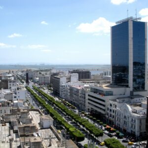 billet bateau tunise ferries-tunisie (1)